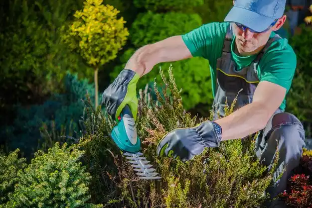 landscaping services Plain City